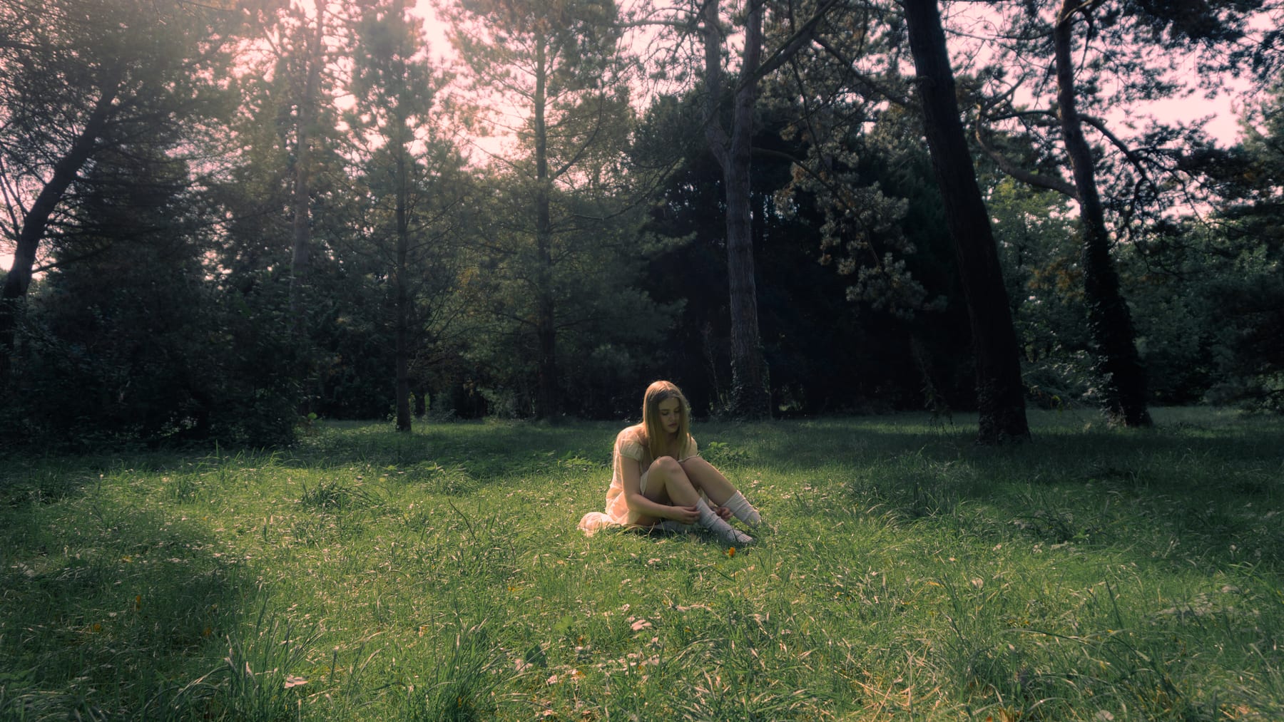 Cosmic: a woman sitting alone in a sunlit meadow under tall dark trees.