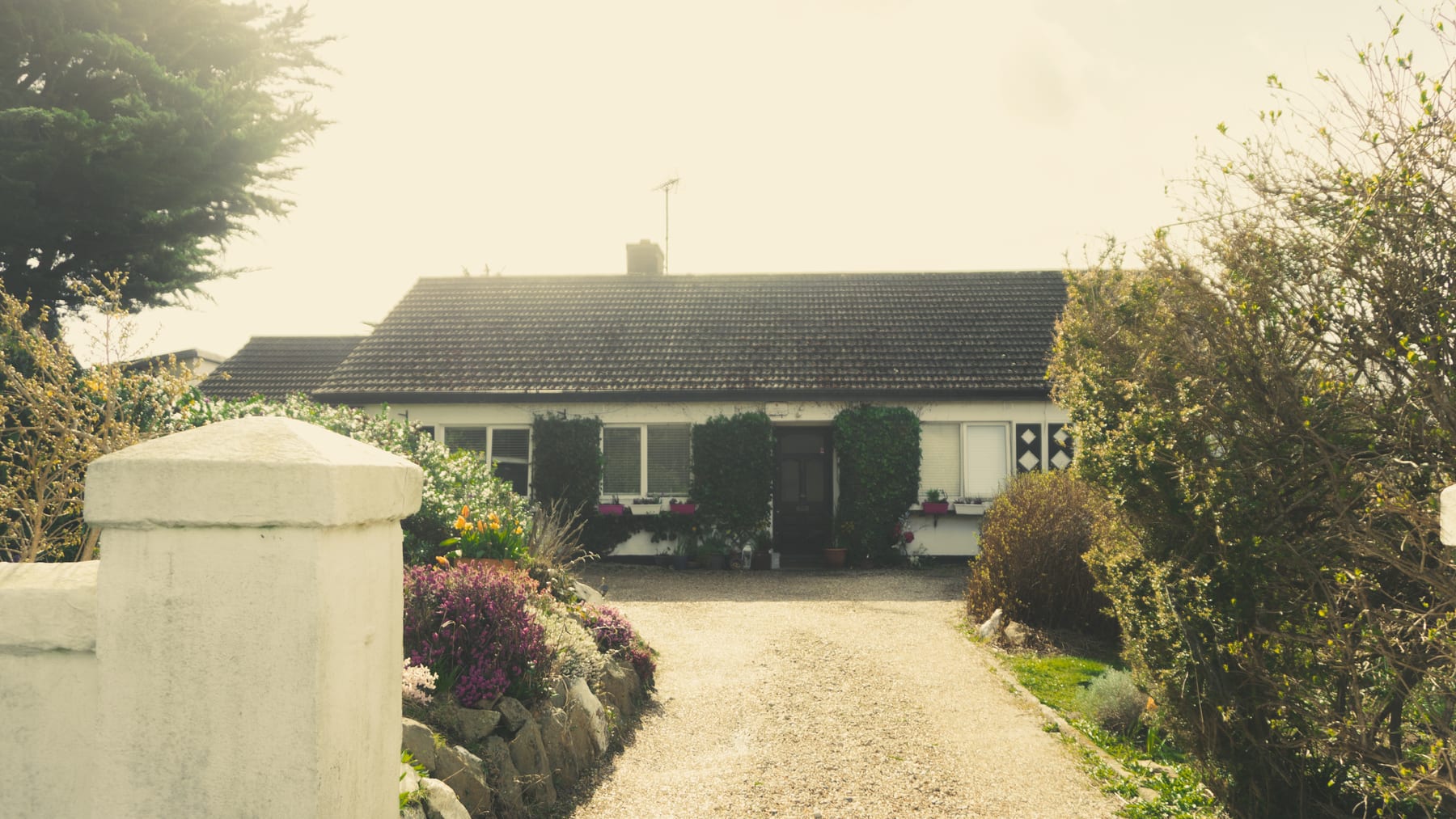 A white bungalow with a gravel drive between flowering shrubs and a white gatepost, near Dublin.