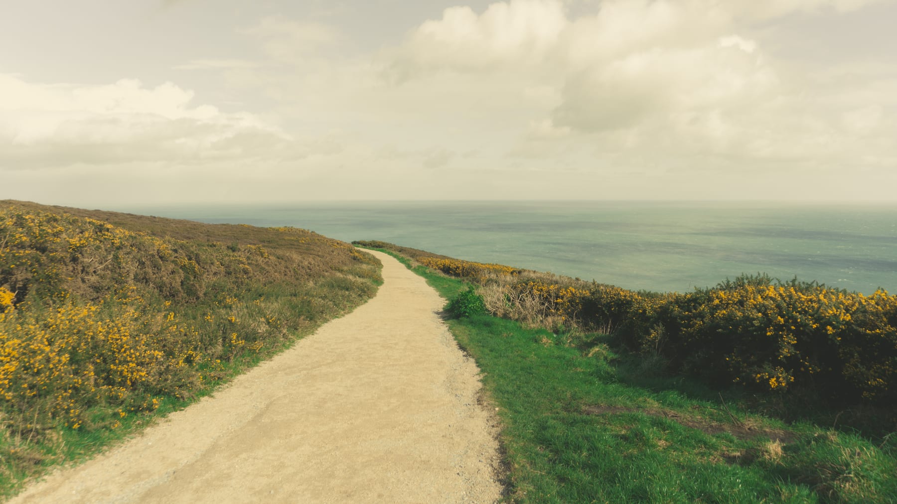 A dirt path winding towards the sea across a gorse-covered headland under a cloudy sky.
