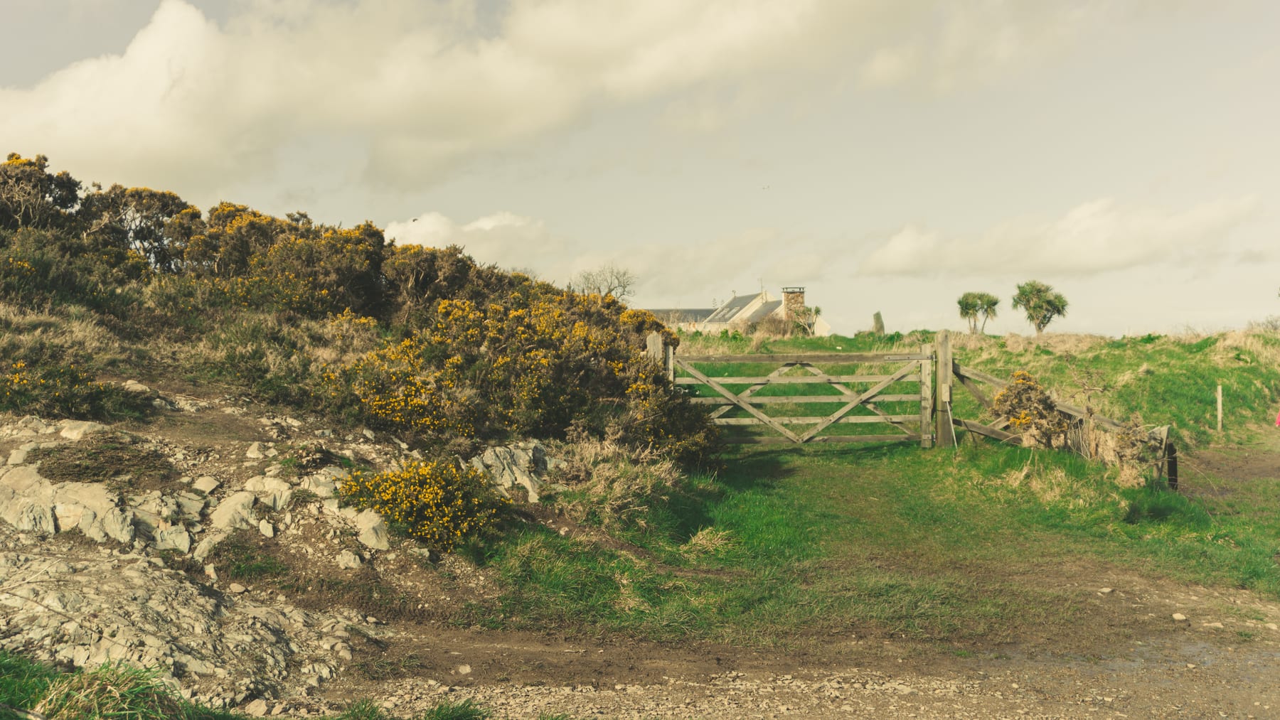 A rocky hillside covered in gorse, a wooden gate, a pasture and a distant house behind.