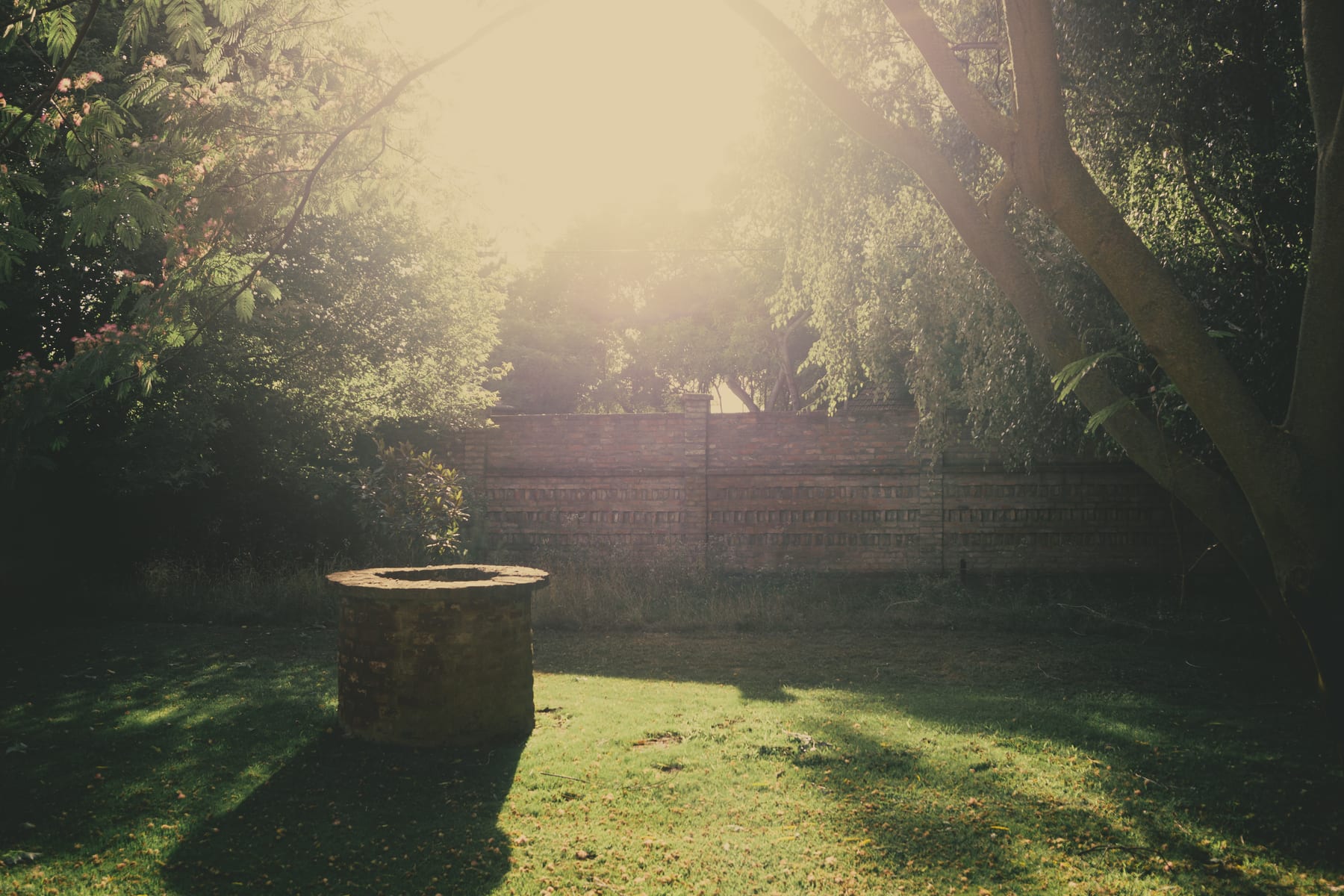 A sunlit garden with an old brick well among trees, the brick wall behind.