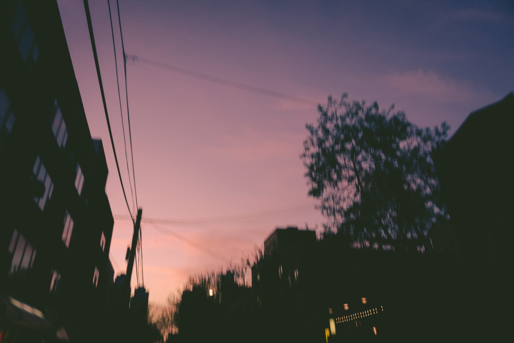 Purple evening sky above dark New York buildings, trees and power lines.